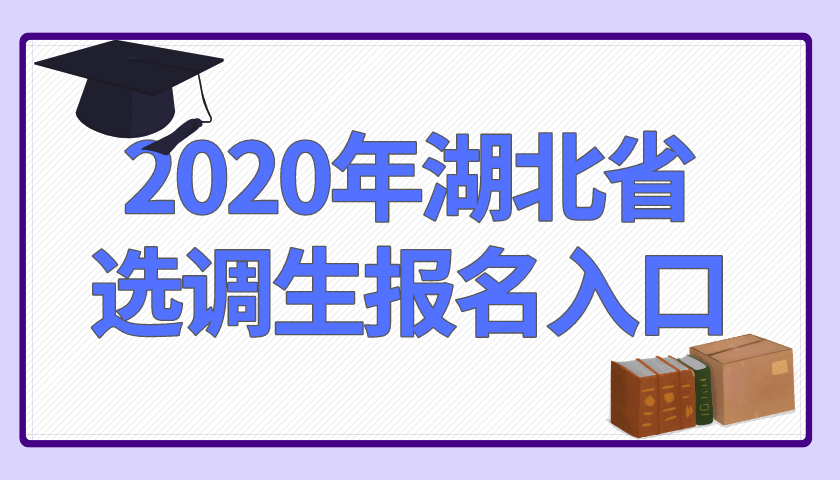 湖北省选调生