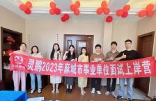 灵鹏2023年麻城市事业单位面试上岸营