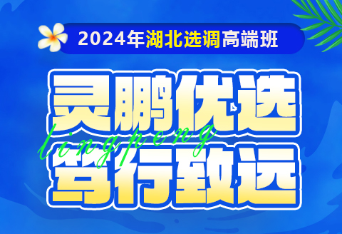 2024年湖北选调高端班课程